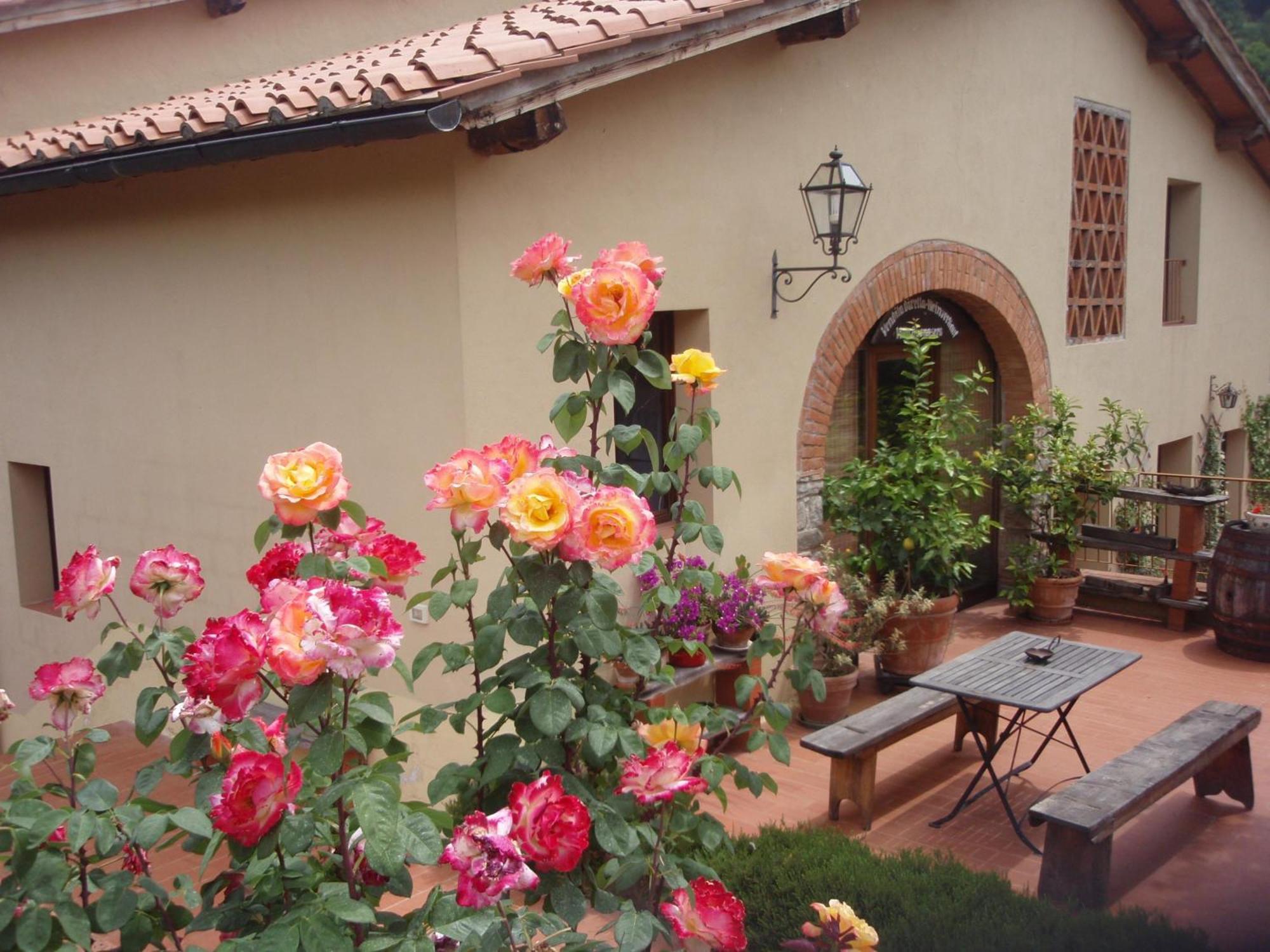 Villa Buonasera Agriturismo Greve in Chianti Exterior foto